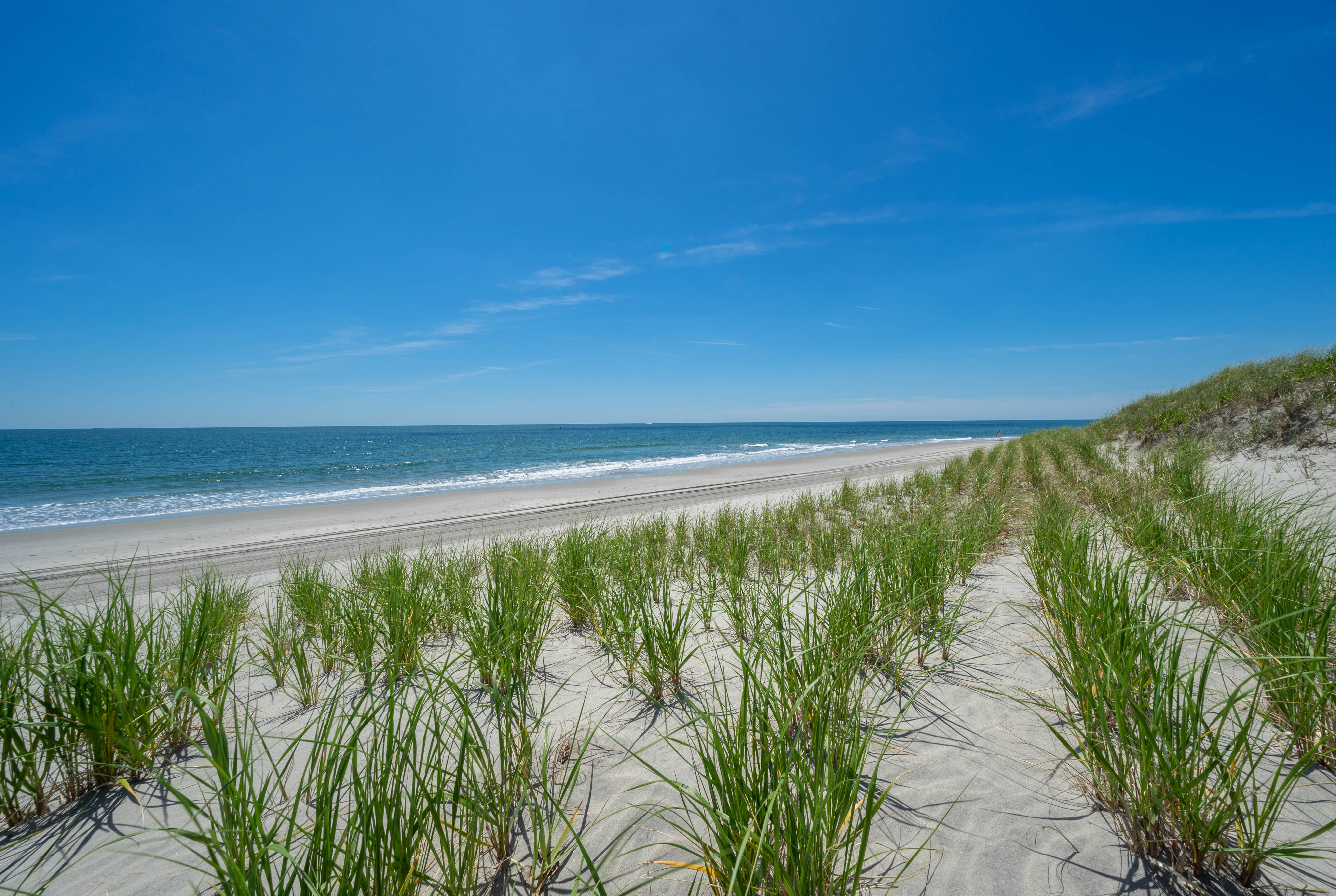 Thing To Do Partial Week Rentals